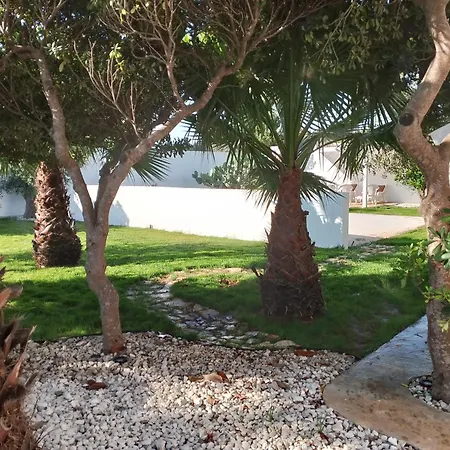 فيلة Miro