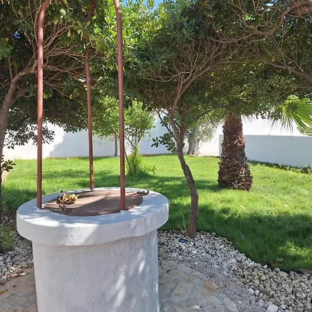 Miro فيلة